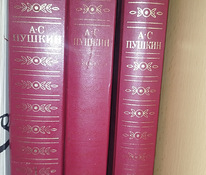 Пушкин 19 книг