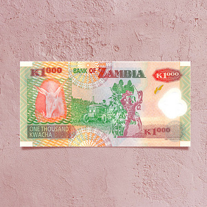 Замбия квача