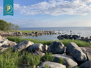 Suve, Pärispea, Kuusalu vald, Harjumaa (14 foto / 15)