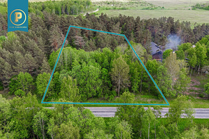Harju maakond, Lääne-Harju vald, Madise küla, Kotka (2 foto / 5)