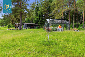 Rapla maakond, Märjamaa vald, Orgita küla, Haldja (47 foto / 48)