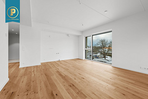 Lääne-Viru maakond, Rakvere linn, F. G. Adoffi 1-23 (3 foto / 30)