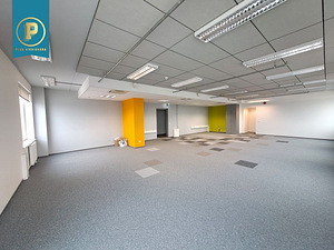 Lelle tn 24, Kesklinna, Tallinn, Harjumaa (3 foto / 10)