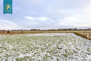 Veski tee 87, Alliku, Saue vald, Harjumaa (31 foto / 36)