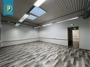 Saku tn 15, Kesklinn, Tallinn, Harjumaa (6 foto / 18)