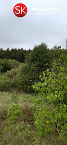 Peipsiääre vald, Tartumaa (4 foto / 9)