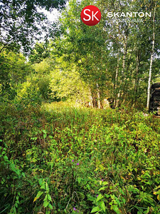 Peipsiääre vald, Tartumaa (6 foto / 7)
