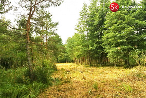 Lääne maakond, Lääne-Nigula vald, Telise küla/Tällnäs, Tuule (5 foto / 20)