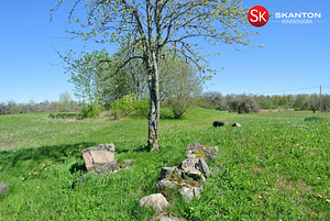 Pihlaka, Koluvere, Lääne-Nigula vald, Läänemaa (12 foto / 16)