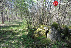Lääne maakond, Lääne-Nigula vald, Hara küla/Harga, Kõrkja (4 foto / 10)