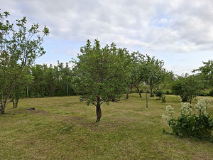 Tara tee 36, Nõmme, Haapsalu linn, Läänemaa (27 foto / 29)