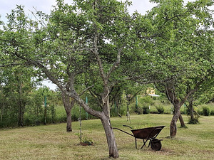 Tara tee 36, Nõmme, Haapsalu linn, Läänemaa (28 foto / 29)