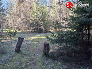 Uustoa, Langa, Lääne-Harju vald, Harjumaa (19 foto / 22)