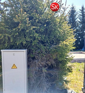 Pihlaka, Koluvere, Lääne-Nigula vald, Läänemaa (4 foto / 17)