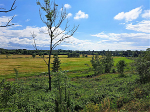 Tarindi tee 3, Liikva, Harku vald, Harjumaa (12 foto / 13)