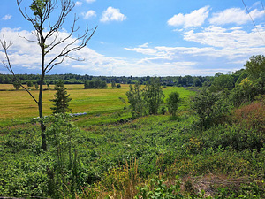Tarindi tee 3, Liikva, Harku vald, Harjumaa (13 foto / 13)