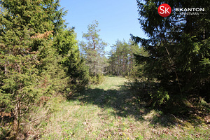 Kruusa, Ridala, Saaremaa vald, Saaremaa (9 foto / 19)