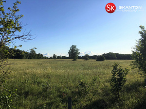 Kruusa, Ridala, Saaremaa vald, Saaremaa (13 foto / 19)