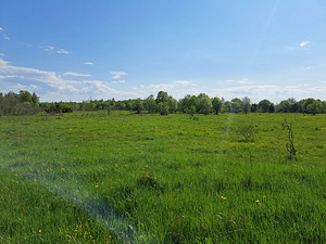 Merilahe, Suurupi, Harku vald, Harjumaa (16 foto / 19)