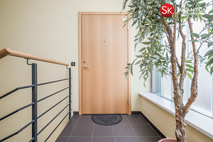 Aiandi tn 3/1, Mustamäe, Tallinn, Harjumaa (17 foto / 22)