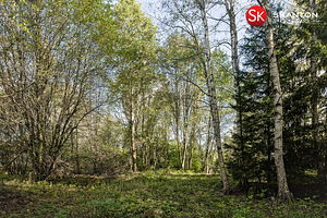 Hallikivi tee 3d, Tammneeme, Viimsi vald, Harjumaa (4 foto / 23)