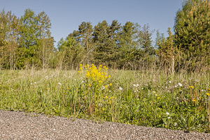 Sepametsa tee 4, Jõgisoo, Saue vald, Harjumaa (12 foto / 37)
