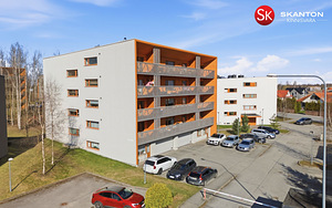 Kummeli tn 20, Raadi-Kruusamäe, Tartu, Tartumaa (46 foto / 48)
