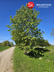 Toominga, Kaarlimõisa, Kastre vald, Tartumaa (19 foto / 21)