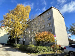 Vindi tn 13, Kristiine, Tallinn, Harjumaa (14 foto / 14)