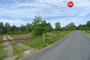 Nõmmeliiva, Rohuküla, Haapsalu linn, Läänemaa (1 foto / 12)