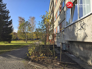 Olevi tn 31, Võru, Võrumaa (22 foto / 22)