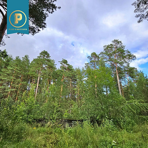 Piiri tee 11, Narva-Jõesuu, Narva-Jõesuu linn, Ida-Virumaa (23 foto / 37)