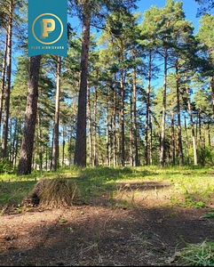 Piiri tee 11, Narva-Jõesuu, Narva-Jõesuu linn, Ida-Virumaa (25 foto / 37)