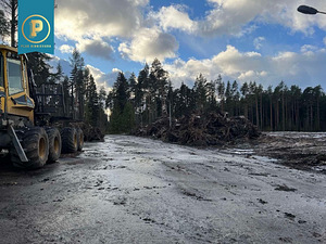 Piiri tee 11, Narva-Jõesuu, Narva-Jõesuu linn, Ida-Virumaa (33 foto / 37)