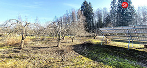 Järva maakond, Türi vald, Kolu küla, Jõekese 14 (12 foto / 19)