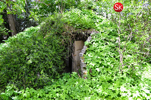 Järva maakond, Paide linn, Sillaotsa küla, Sillotsa 5 (45 foto / 45)