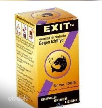 Esha Exit (foto #1)