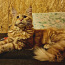 Котёнок мейн-кун ЗАБРОНИРОВАНА (фото #3)