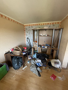 Prügi, mööbli, rämpsu, klaveri väljavedu. Lammutamine ja uti (4 foto / 5)