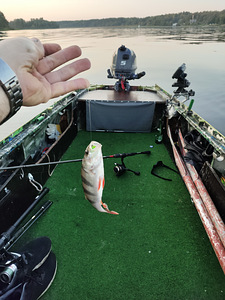 Kazanka+Respo+Yamaha+ Lawrence2 4x GPS (6 foto / 6)