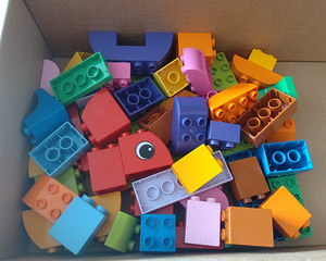 Lego Education DUPLO Animal Bingo (1 foto / 4)