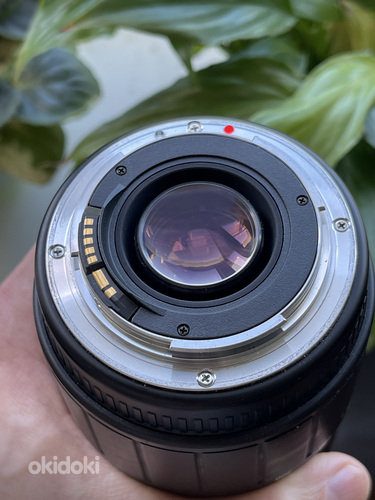 Sigma ZOOM 70-300mm f/4-5.6 DG Lens For Canon EF Mount (foto #2)