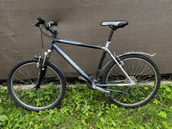 Maastikuratas Peugeot 26”