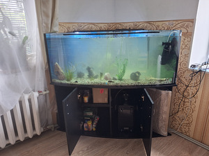 Akvaarium