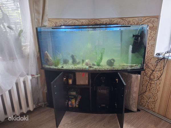 Akvaarium