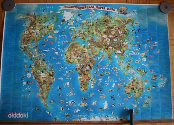 Настенная карта мира для детей (фото #1)