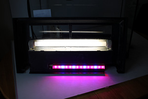 Akvaarium JUWEL 72L (4 foto / 4)