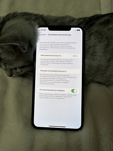 iPhone 11 про макс, 256гб (3 фото из 3)