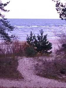 Savi tee 7, Uusküla, Alutaguse vald, Ida-Virumaa (13 foto / 15)