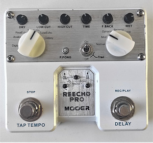 Mooer Reecho Pro Digital Delay/Looper Pedal (1 foto / 3)